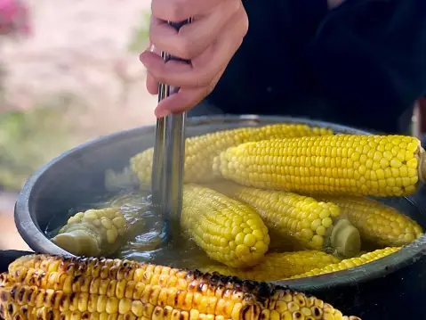 corn boiled and grilled